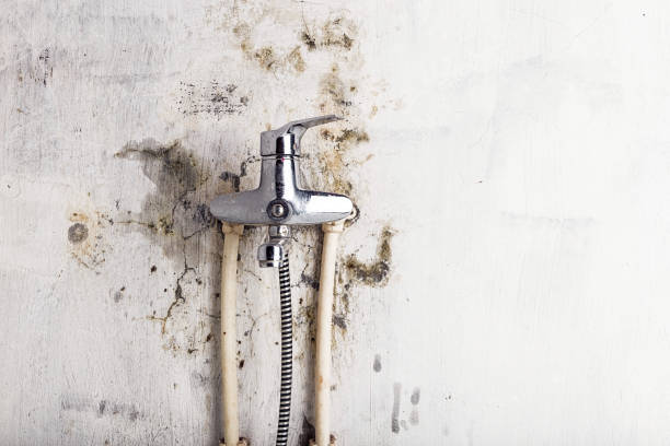 Best HVAC Mold Remediation in St Francis, KS